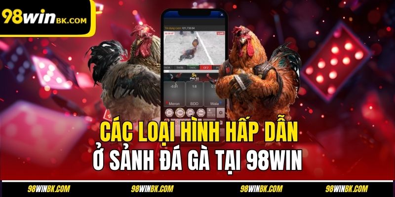 Các loại hình hấp dẫn ở sảnh đá gà tại 98Win