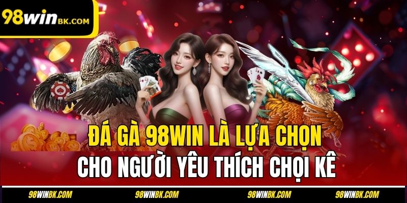 Đá gà 98Win là lựa chọn cho người yêu thích chọi kê