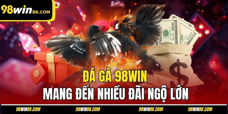 Đá gà 98Win mang đến nhiều đãi ngộ lớn