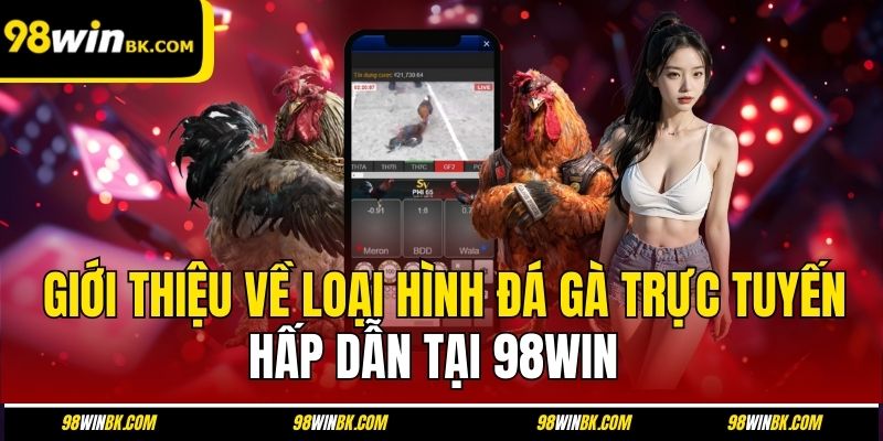 Giới thiệu về loại hình đá gà trực tuyến hấp dẫn tại 98Win