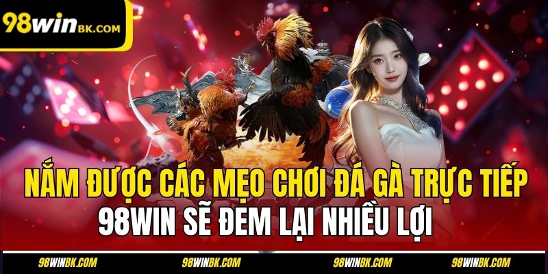 Nắm được các mẹo chơi đá gà trực tiếp 98Win sẽ đem lại nhiều lợi