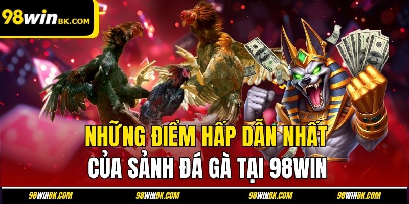 Những điểm hấp dẫn nhất của sảnh đá gà tại 98Win