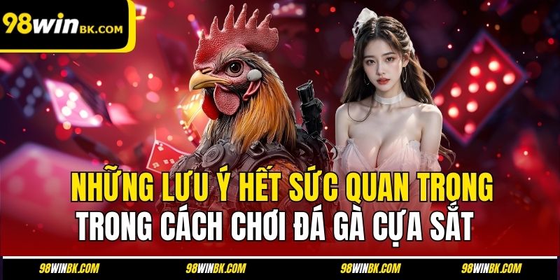 Những lưu ý hết sức quan trọng trong cách chơi đá gà cựa sắt
