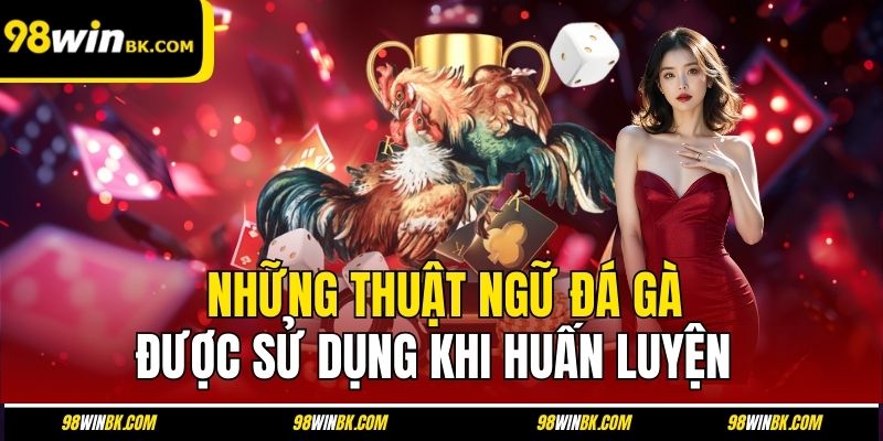 Những thuật ngữ đá gà được sử dụng khi huấn luyện