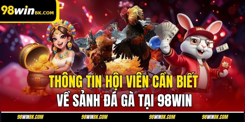 Thông tin hội viên cần biết về sảnh đá gà tại 98Win
