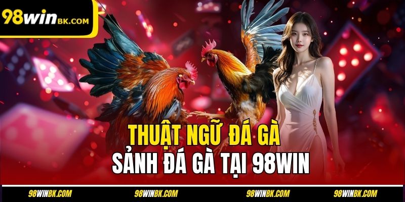 Thuật Ngữ Đá Gà