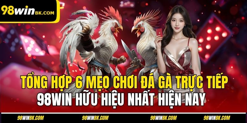 Tổng hợp 6 mẹo chơi đá gà trực tiếp 98Win hữu hiệu nhất hiện nay